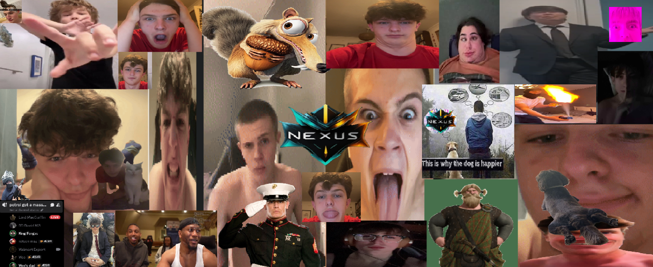 Nexus