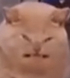 CSN
