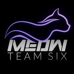 Meow Team Six