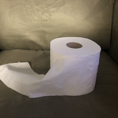 Toilet Paper