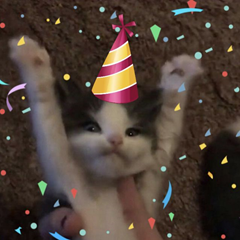 Party