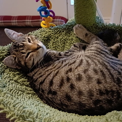 rotten_sandwich's profile page