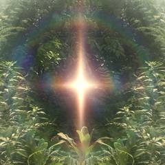 James.lul's profile page