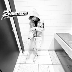 2wastedd's profile page