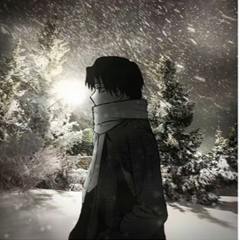 sIipm's profile page