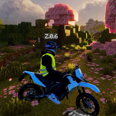 SwiftyZ06's profile page