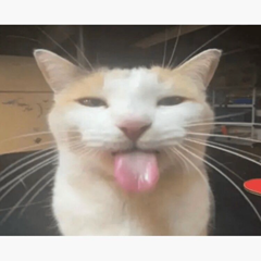 Anakin's profile page