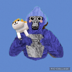 BLUE BEANIE's profile page