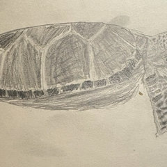 waIly's profile page