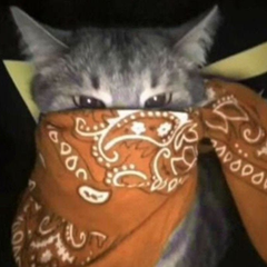 o0_LALA_0o's profile page