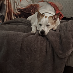 velaaaa's profile page