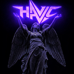 Havic's profile page