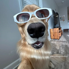 PT_MR.Xanwich_PT's profile page