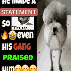 Sunshine's profile page