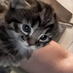 Not Wyatt's profile page