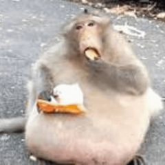 Minus_10's profile page