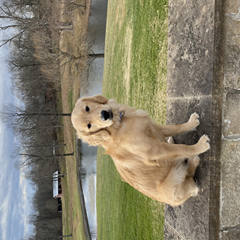 mrdoge67's profile page