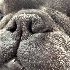 HazeII's profile page