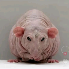 Slimy_joe's profile page