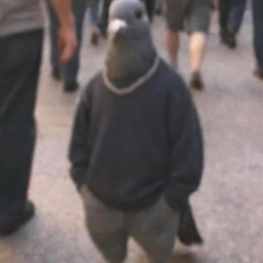 ChilledMoose432's profile page