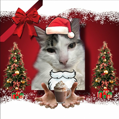 QO.ILOVEBEES's profile page