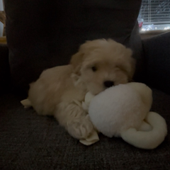 Zakyyyy's profile page