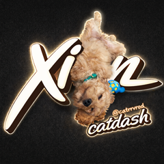 catdash's profile page