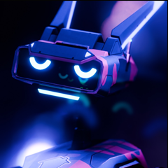 capixvrod's profile page