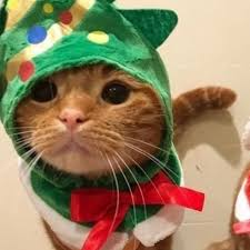 Envixitor's profile page