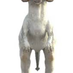 Gallerybomb's profile page