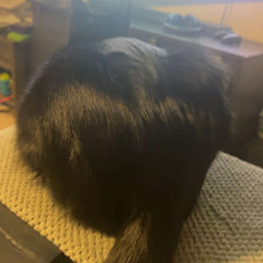 zzuug's profile page