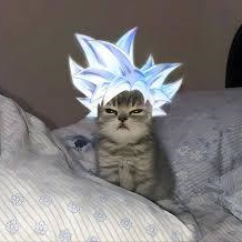 xituals's profile page