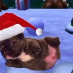 b.o.l.t.z's profile page