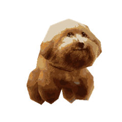 Mr.Temp's profile page