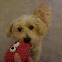 rush.41's profile page