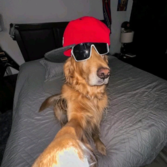 Wafflez.ON.OD's profile page