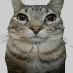 P.H.X's profile page