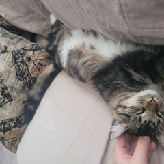 PPB_mxrcy's profile page