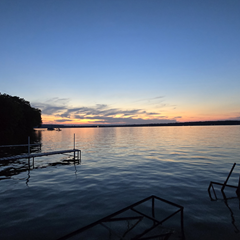 GAVVR.0_0's profile page