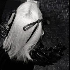 Trexindrifter's profile page