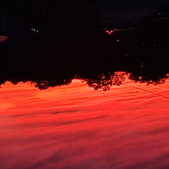 Salvationer's profile page