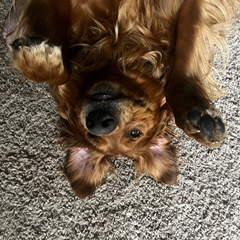 Tyrix's profile page