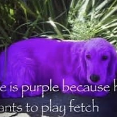 Aaron_I_Am's profile page