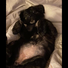 TRtheman's profile page