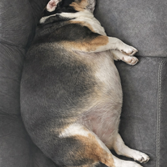 BOT_Juanita's profile page