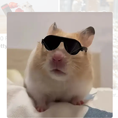 BOUFF's profile page