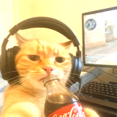 TravisCarter3333's profile page